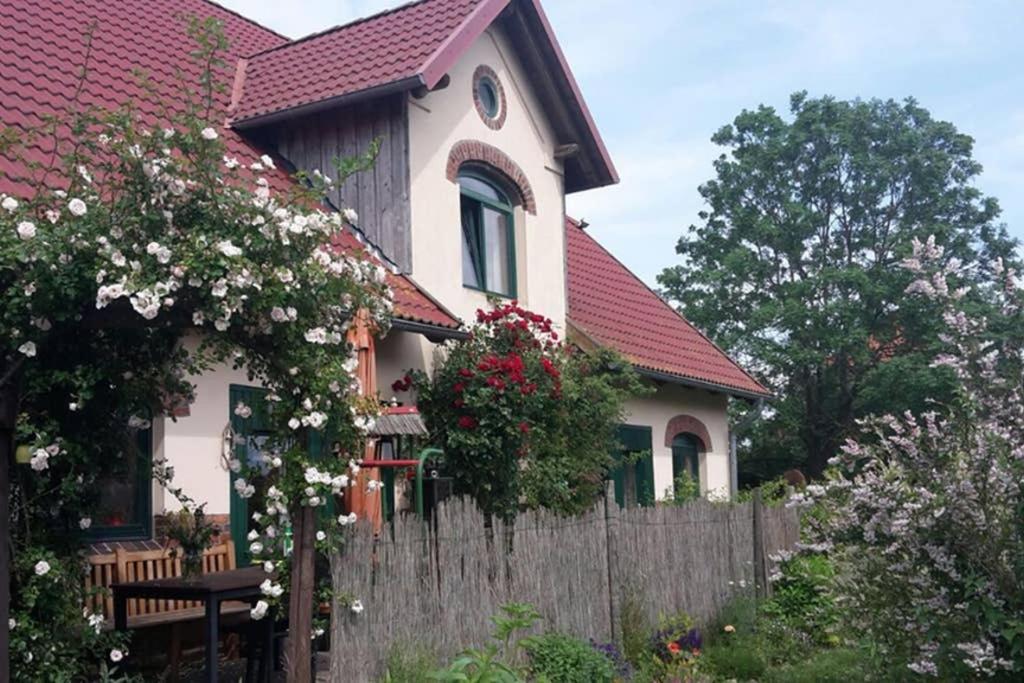 Entspannen Im Dorf Am See Zahren Exteriér fotografie